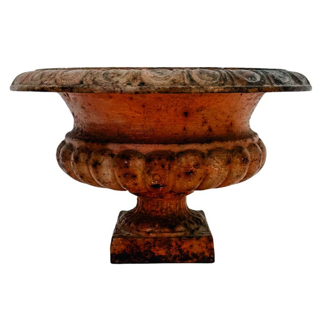 Brown Antique French Style Cast Iron Campana Urn Planters - A Pair For Sale - Image 8 of 11