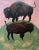 This painting was inspired by George Catlin's "America Bison" Painting. I used the same colors that he did in his work but...