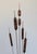Mid-Century Modern Vintage Brutalist Brass Cattails W/ Rock Base Decor For Sale - Image 3 of 9