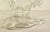 1920s Elephant Shaped Decorative Jar/Container For Sale - Image 5 of 7