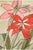 1915 Vintage Amaryllis Botanical Art Print by Hannah Borger Overbeck - 12" X 8" For Sale In Buffalo - Image 6 of 8