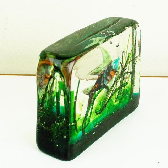 Murano Glass Aquarium attributed to Riccardo Licata for Gino Cenedese, Italy, 1960s For Sale - Image 9 of 12