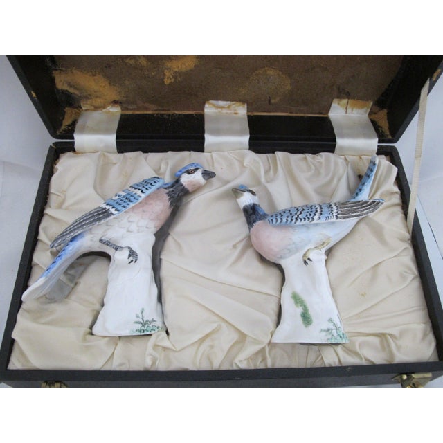 Staffordshire Hand Painted Porcelain Blue Jay Figurine Pair With Box For Sale - Image 18 of 18