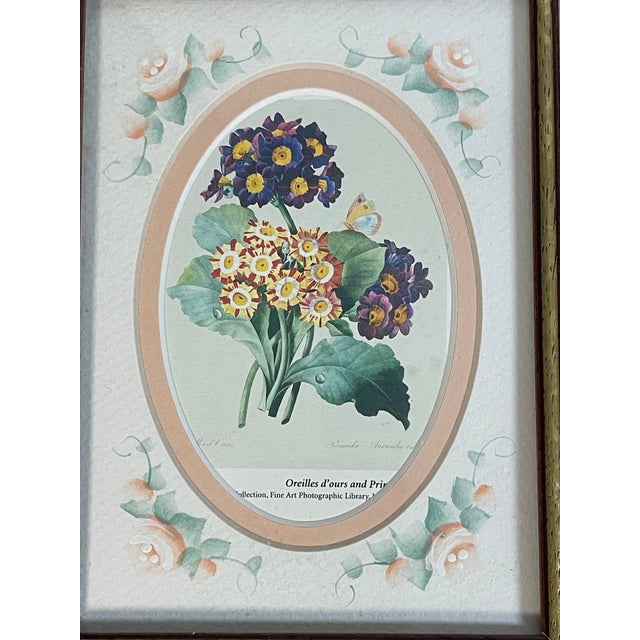 1970s Small Vintage Botanical Primula Chromolithograph in Handpainted Frame For Sale - Image 4 of 4