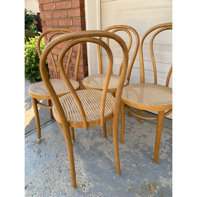 Vintage Thonet Style Pre Wwii Bentwood Cane Bistro Chairs, Set of Four ...