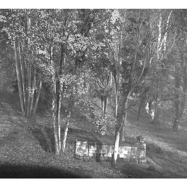 "Le Desert De Retz" 1994 Ketcham, Diana For Sale - Image 9 of 10