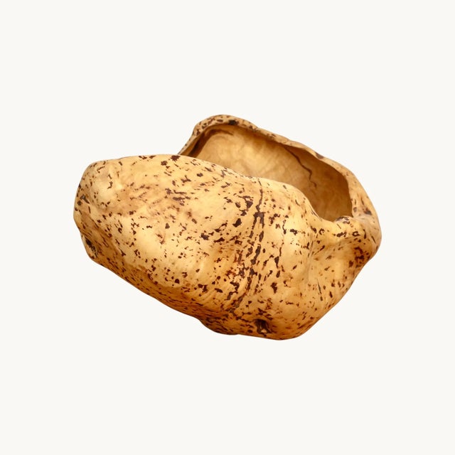 Beige Large Magnifying Glass in Elm, Sweden, 1970s For Sale - Image 8 of 12