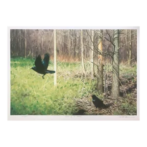 Claudio d'Angelo Crows by the Woods Lithograph on Paper