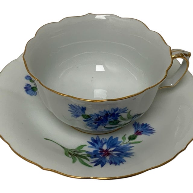 1920s Vintage Rare Meissen Pfeiffer Period 25-Piece Multi-Floral Botanical Coffee & Dessert Service First Quality C1924-1934 For Sale - Image 5 of 12