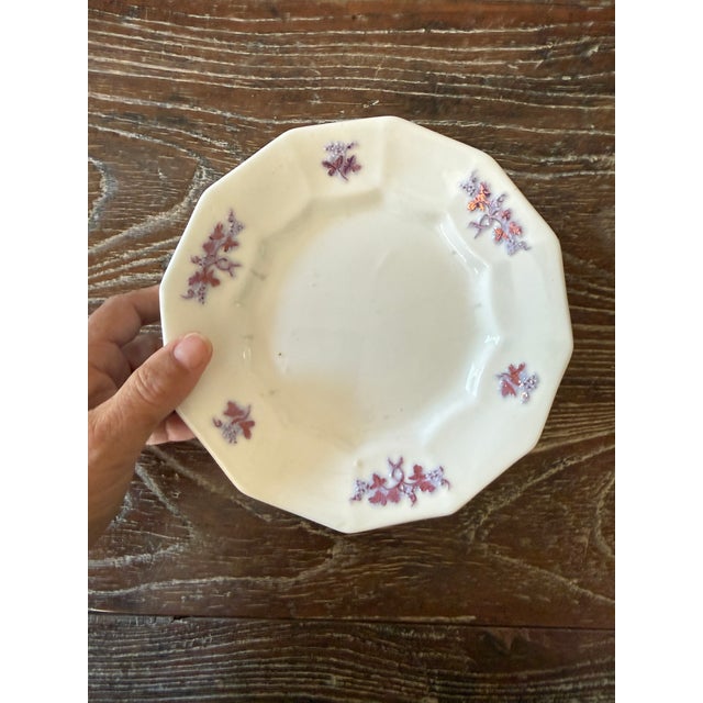 Antique Staffordshire Ironstone Dessert Plates, Chelsea Grape Chelsea Sprig Pattern, 6.75 Inch English Ironstone, Circa 1845–1856 - Set of Seven For Sale - Image 4 of 10