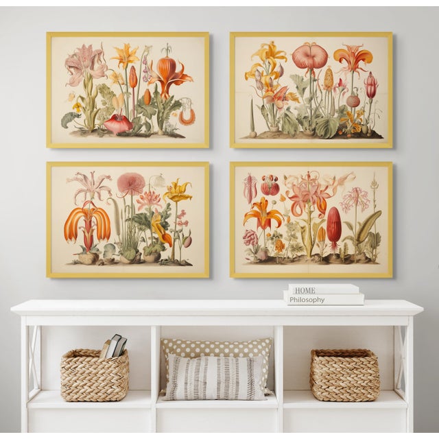 Set of 4 - 18" X 12.5" Botanical Prints 'Hortus Floridus' Style Flowers #4, Unframed For Sale - Image 6 of 7