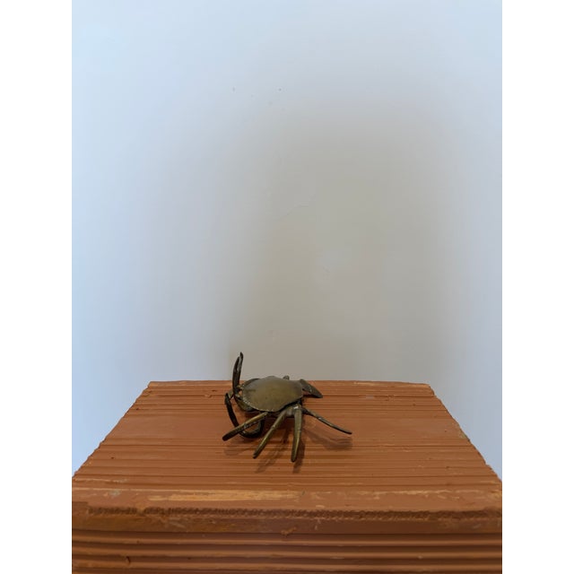 Metal Mid-Century Bronze Crab Sculpture With Hinged Top, Brazil 1960s For Sale - Image 7 of 15