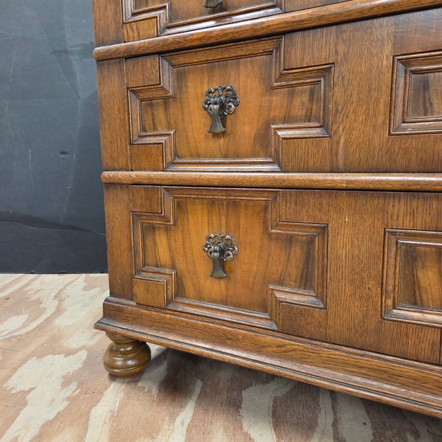 Late 19th Century Golden Oak 5 Drawer Geometric Patterned Chest of Drawers on Bun Feet For Sale - Image 9 of 14