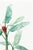 Green Scarlet Banana Illustration, Vintage Botanical Art Print Reproduction, 20" X 30" For Sale - Image 8 of 10
