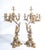 Metal Napoleon III Gilded Bronze Candelabra, Set of 2 For Sale - Image 7 of 18