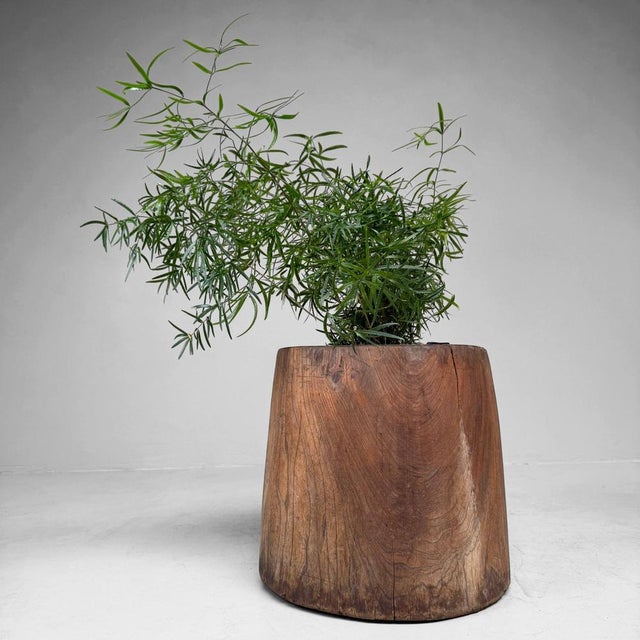 Japanese Wooden Usu Rice Mortar, 1920s For Sale - Image 6 of 18