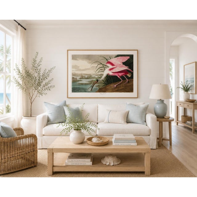 Illustration Roseate Spoonbill by John James Audubon, Vintage Art Print Reproduction, 30" × 20" For Sale - Image 3 of 9