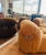 Camel Original Soriana Lounge Chairs and Ottoman Design Tobia Scarpa for Cassina 1970s For Sale - Image 8 of 12