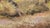 Desert Mountain Landscape in Oil on Canvas by Cecil C. Hunter For Sale - Image 4 of 8