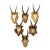 Set of Six Vintage Roe Deer Trophies on Wooden Plaques Germany Ca. 1960s For Sale