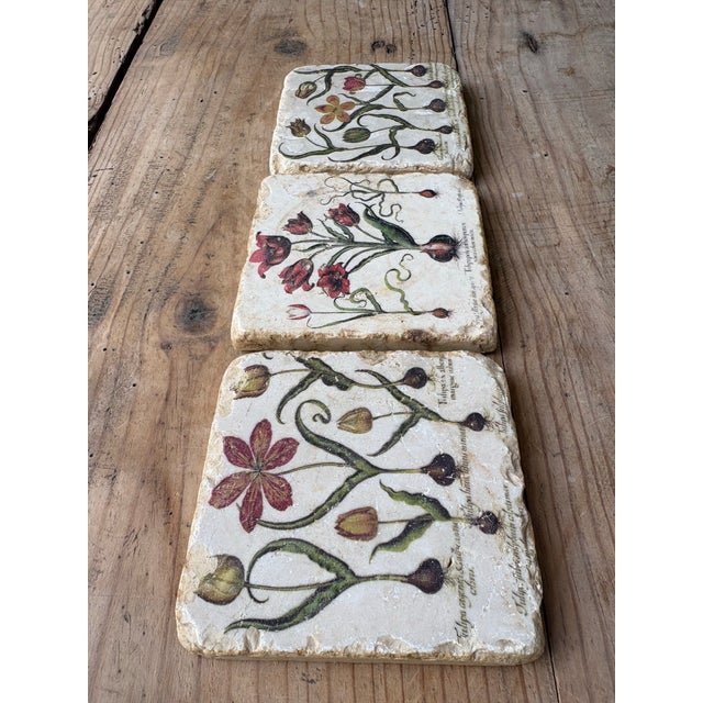 Antique White Late 20th Century Verta Botanical Tulip Travertine Stone Coasters – Set of 3 For Sale - Image 8 of 11