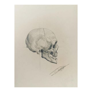 Antique Skull Drawing For Sale