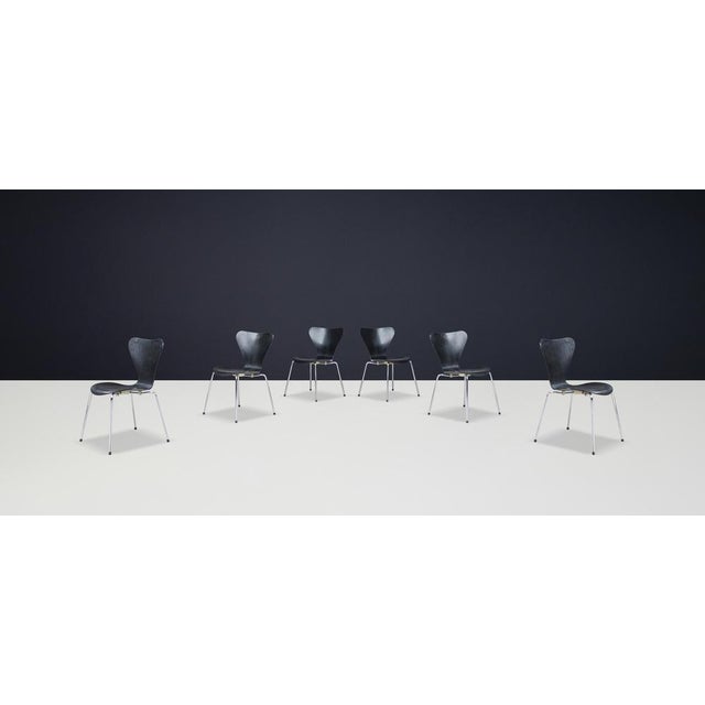 Wood Scandinavian Black 3107 Series 7 Dining Chair attributed to Arne Jacobsen for Fritz Hansen, 1990s For Sale - Image 7 of 9