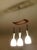 1950s Vintage Pendant Light in Teak and Glass from Rispal For Sale - Image 5 of 18