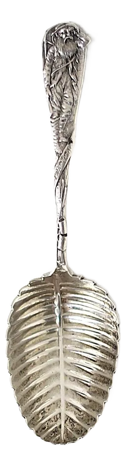 Sterling Silver Spoon