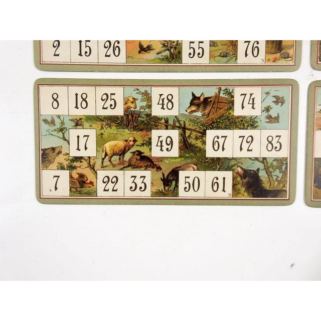 Antique Lithograph Lotto Game Cards Kittens, Wolf, Birds - Set of 4 For Sale - Image 4 of 7