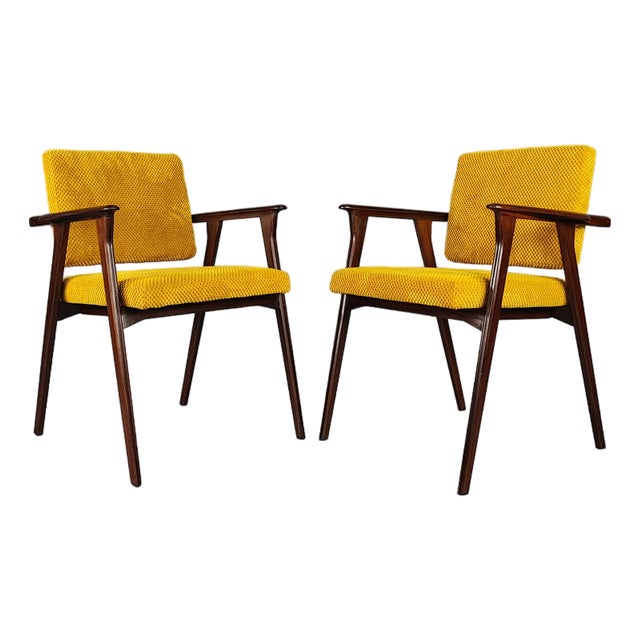Armchairs in Rosewood and Yellow Velvet by Franco Albini for Poggi, Set of 2 For Sale