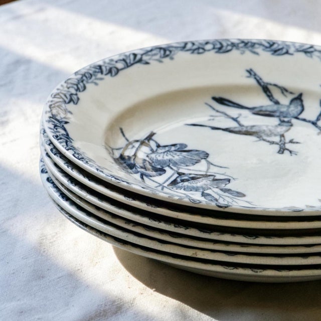 French Plates with Birds by Onnaing, 1875, Set of 6 For Sale - Image 10 of 12