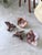 Wooden Flower Wall Sconces, 1970s, Set of 4 For Sale - Image 14 of 18