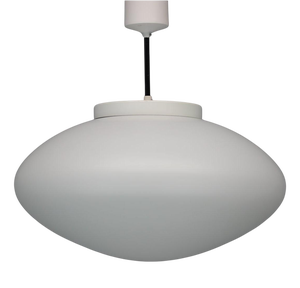 Large Mid-Century Modern Czechoslovakian Pendant Light, 1960s