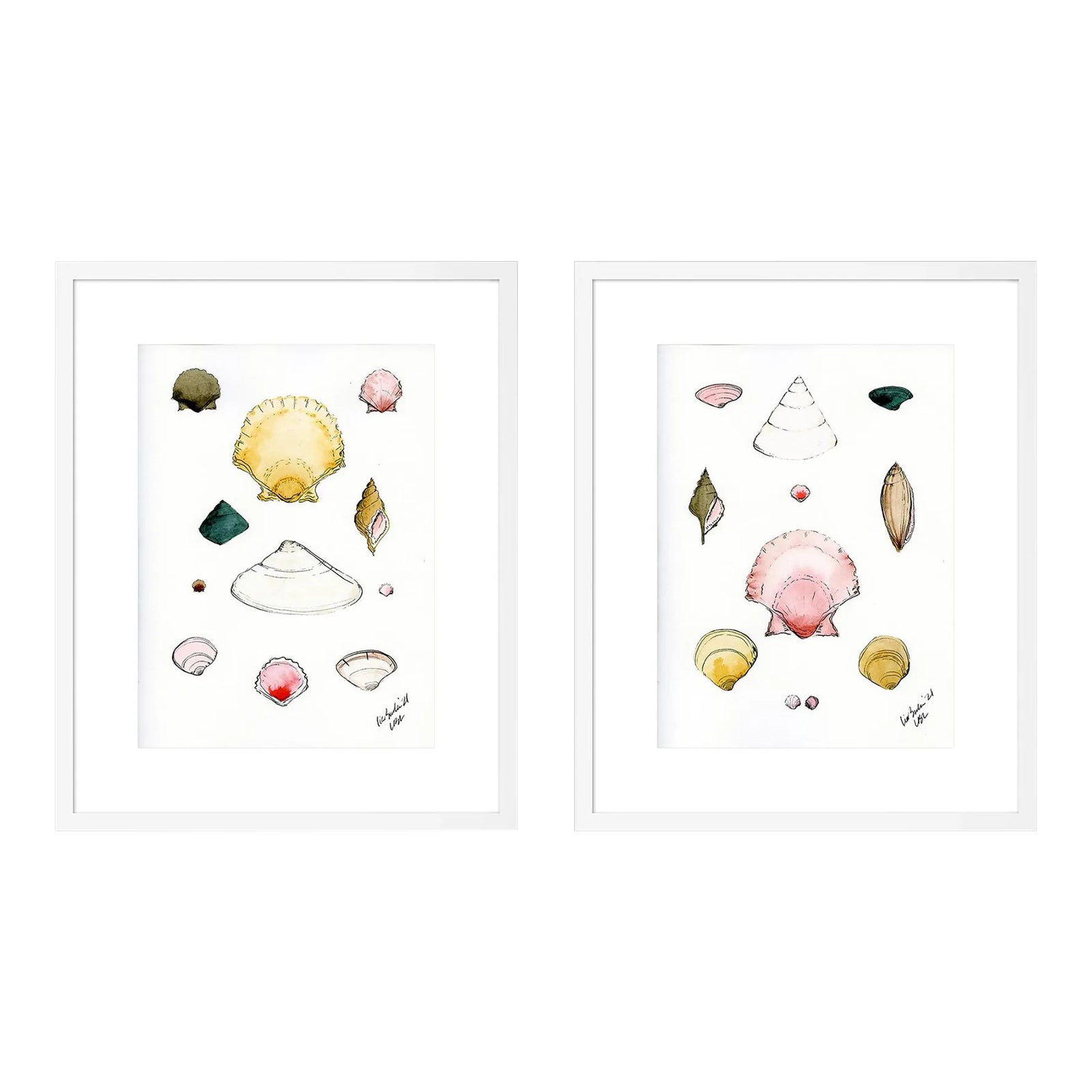 Shells Diptych by Lia Burke Libaire in White Frame, Small Art Prints, Set of 2 Chairish