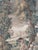 18th-Century Aubusson Tapestry in Wool, 1800s For Sale - Image 4 of 7