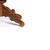 Portuguese Coffee Table, 20th Century For Sale - Image 5 of 6