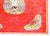 Early 20th Century Central Asian Khotan Rug For Sale - Image 11 of 13