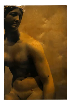 Persephone, Mixed Media Photograph on Wood, Hi-Gloss, 2010