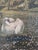 This original antique oil painting, dated 1913 on the back, shows two white swans in a romantic flower-filled garden...