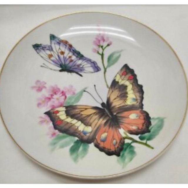 Antique Ceramic Plates by Neiman Marcus Butterfly Collection - Set of 2 For Sale - Image 4 of 4