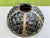 1960s Tiffany-Style Iridescent Glass & Bronze Turtleback Tile 26" Shade (Shade Only) For Sale - Image 6 of 18