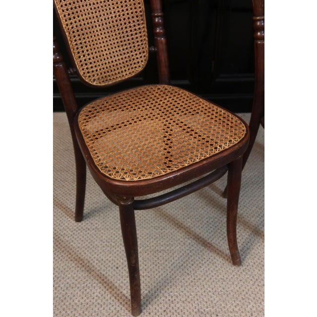 Chairs from Thonet, 1890s, Set of 4 For Sale - Image 10 of 11