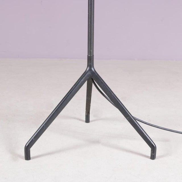 Model Lola D15 Floor Lamp by Rizatto & Meda for Luceplan Italy, 1980s For Sale - Image 3 of 13