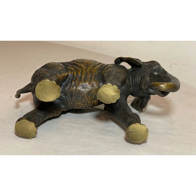 Antique 19th Century Austrian Bergmann Bronze Elephant Statue Sculpture Figure For Sale - Image 15 of 15