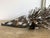 2000 - 2009 Pair of Australian Aboriginal Wood Sculpture Echidna For Sale - Image 5 of 9