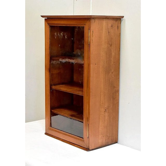 Small 19th Century Birch Wall Display Cabinet For Sale - Image 3 of 18