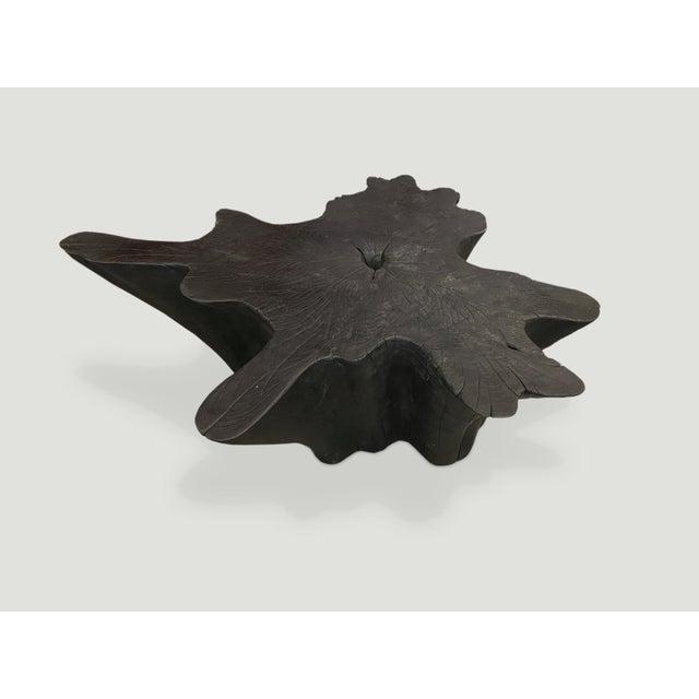 Contemporary Andrianna Shamaris Charred Teak Wood Coffee Table For Sale - Image 3 of 5