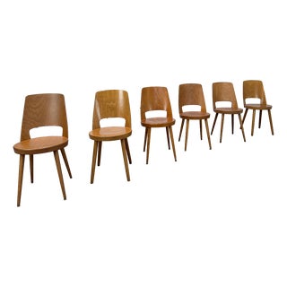 Beechwood Bistro Chairs from Baumann, 1950s, Set of 6 For Sale