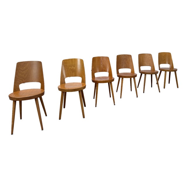 Beechwood Bistro Chairs from Baumann, 1950s, Set of 6 For Sale